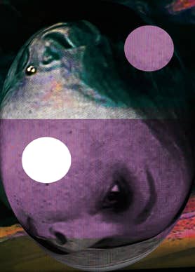 h.renner_blind spot_06