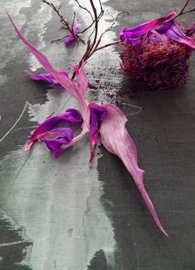 hartmut renner_gehen