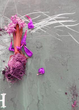 hartmut renner_gehen